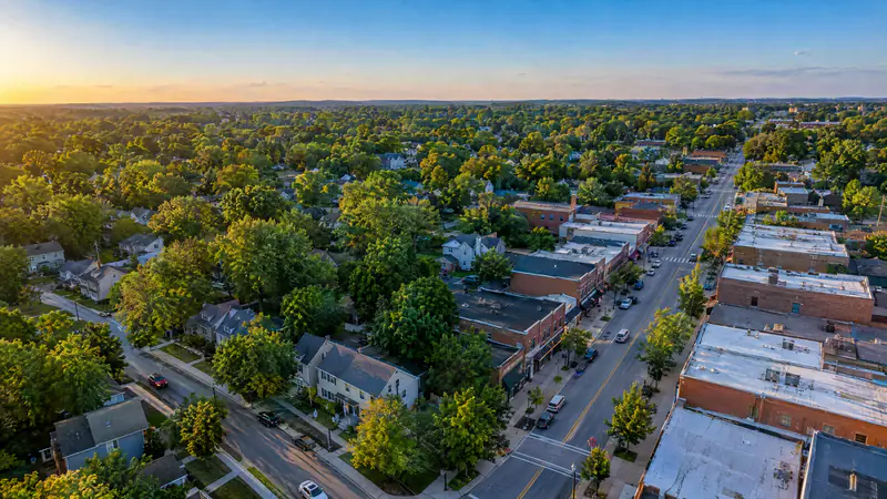 Aerial view of leafy suburban neighborhoods and a small commercial street at golden hour