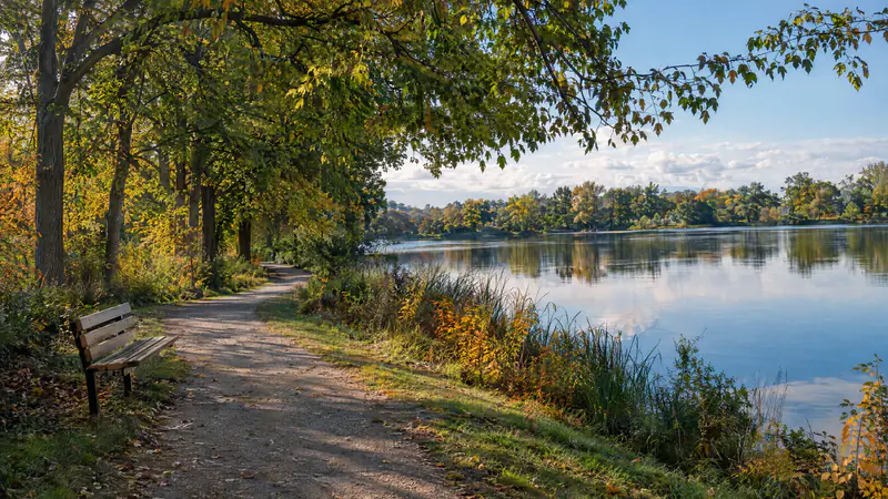 Peaceful lakeside walking path lined with mature trees in early autumn light