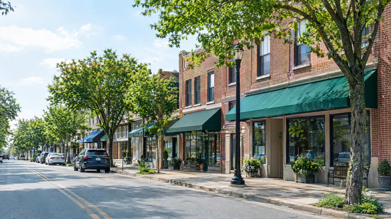 Tree-lined suburban main street with brick storefronts on a bright day in the southwest suburbs
